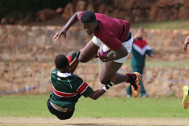 者的指引不 者的指引不