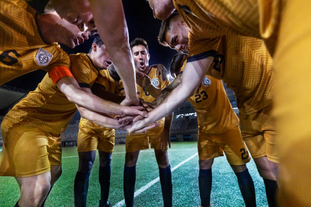 荷兰阿姆斯 荷兰阿姆斯